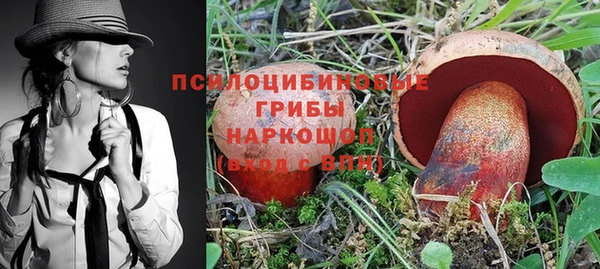 mdpv Анива
