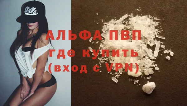 стафф Анжеро-Судженск