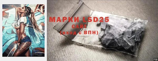 стафф Анжеро-Судженск