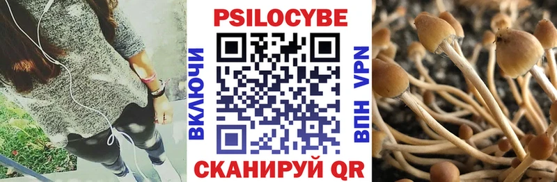 Псилоцибиновые грибы Psilocybine cubensis  Жиздра 